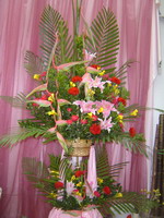 No.: AFC00107